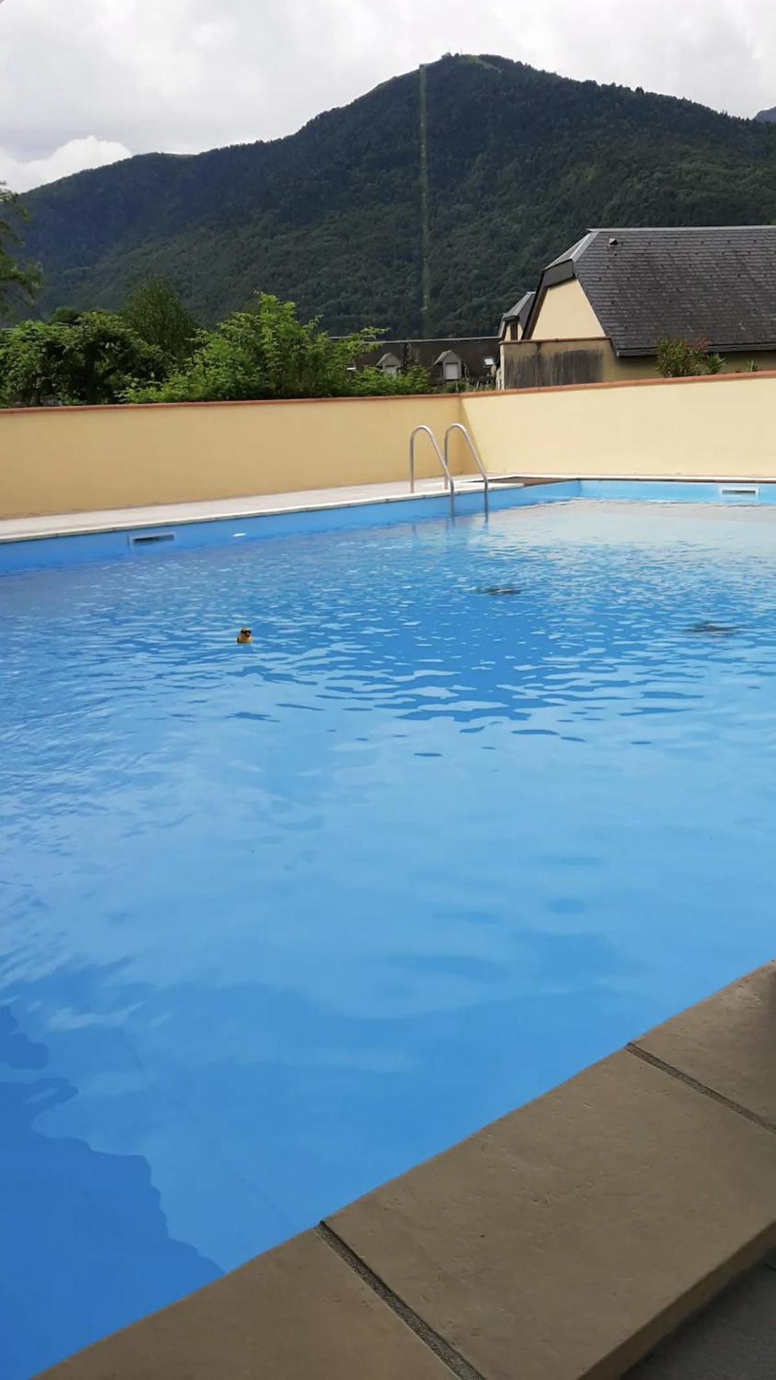 Appart T 3 Bagneres-De-Luchon Vue Montagne - Piscine Mi Juin Экстерьер фото